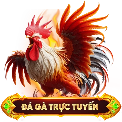 đá gà trực tuyến 789VN
